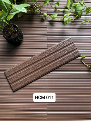 Việt Nhật HCM 011